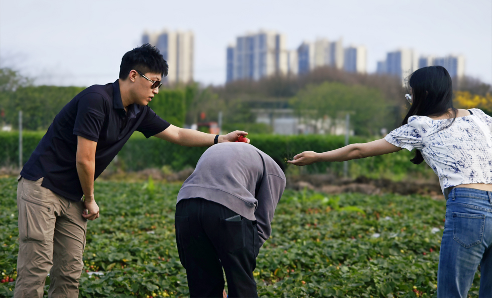 MK����(MKsports����)�ɷݹ�˾ - Mk Sports