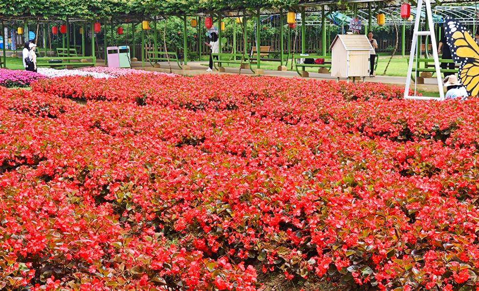 MK����(MKsports����)�ɷݹ�˾ - Mk Sports