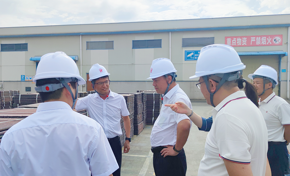 MK����(MKsports����)�ɷݹ�˾ - Mk Sports